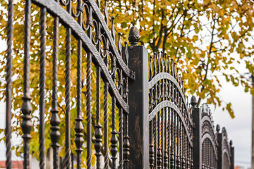 Wrought Iron Fence. Metal fence in autumn

