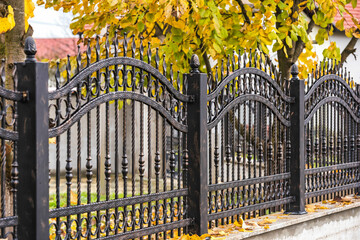 Wrought Iron Fence. Metal fence in autumn
