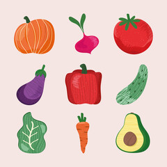nine fresh vegetables icons