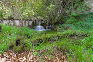 A small waterfall in a sycamore grove