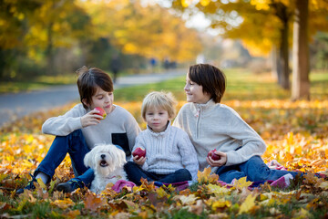 Happy children, playing with pet dog in autumn park on a sunny day