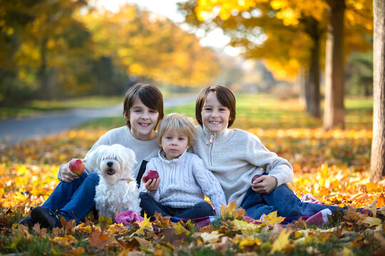 Happy children, playing with pet dog in autumn park on a sunny day