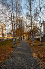 Alley in the capital of Ugra, the city of Khanty-Mansiysk. Alley on Dzerzhinsky Street in Khanty-Mansiysk. Yellow foliage on the lawn grass. Autumn in the city - fallow leaves are carpeted over the la