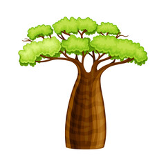 African Baobab tree. Powerful plant with green foliage cartoon vector illustration