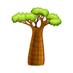 Baobab tree, African powerful plant cartoon vector illustration