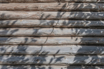The shadow of the leaves on the background of the log wall of the house. Textured natural background with copy space