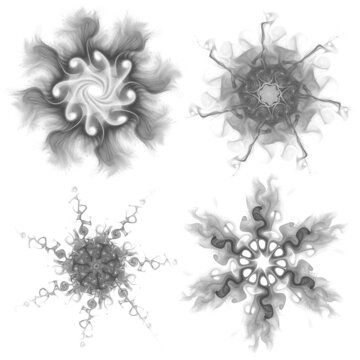 Set of four black snowflakes on a white background. Abstract computer generated fractal image of a snowflake. Illustration, isolate.
