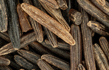 Brown wholegrain rice under microscope, image width 15mm