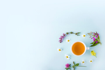Naklejka na ściany i meble Cup of herbal tea with flowers chamomile on blue background. Organic floral, green asian tea. Herbal medicine at seasonal diseases and treatment of colds, flu, heat. copy space for text.
