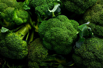 Fresh green broccoli. Macro photo. Top view.