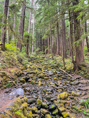 Sol Duc Falls