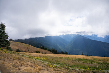 Hurricane Ridge