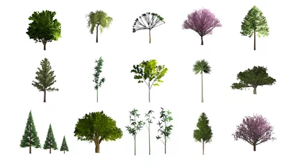 Fotobehang Set with various trees on a white background. Graphic, illustration, icons, web © karolinaklink