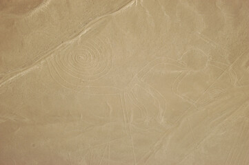 Fototapeta na wymiar Drawings, Nazca lines ( lineas de nazca ) in the desert of nazca - Peru. High quality photo