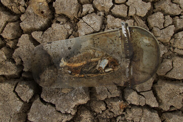 Dead fish in a cup of plastic metaphor Pollution of plastic, Contamination and Toxic to marine life.