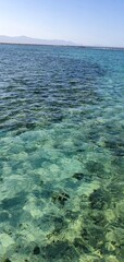 Beautiful seascape in Egypt. Clear sea and blue sky. Calm at sea. Rest on the Red Sea in Egypt.