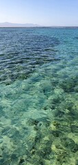 Beautiful seascape in Egypt. Clear sea and blue sky. Calm at sea. Rest on the Red Sea in Egypt.