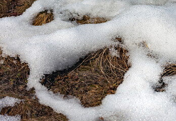Melted snow on the background of last year's dry grass close-up in spring