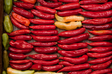 Multi colored colorful Hot chili peppers, - food background High quality photo