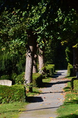 Obraz premium Friedhof im Herbst in Walsrode, Niedersachsen