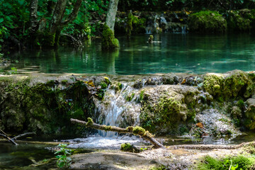 waterfall in the forest