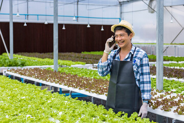 Happy Asian local farmer growing their own salad lettuce in the greenhouse using organic approach...