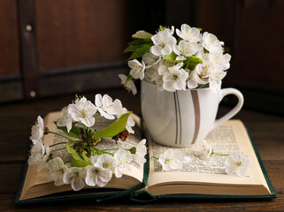 Tazza da tè, libro e profumo di primavera, fiori di ciliegio