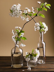 Composizione floreale primaverile di fiori di ciliegio e vetro