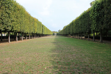 public park in compiègne (france) 