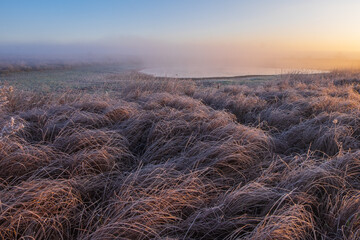 sunrise in the field