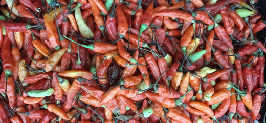 close up of colorful chilis