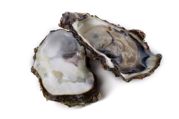 Opened oysters