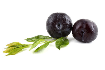 Black plums and leaves