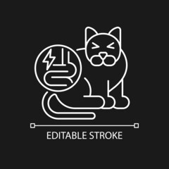 Pet IBD white linear icon for dark theme. Inflammatory bowel disease. Animal intestinal disorders. Thin line customizable illustration. Isolated vector contour symbol for night mode. Editable stroke