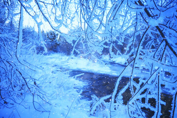 branches covered with frost background abstract winter december view
