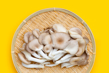Fresh oyster mushroom in round bamboo basket on  yellow background.