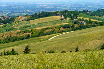 Fototapeta na wymiar Country landscape near Meldola and Predappio, Emilia-Romagna