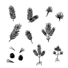 Pine branch silhouette, vector illustration set