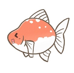 R:もっとメルヘンな水族館☆金魚④