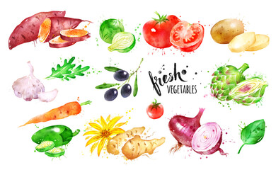 Watercolor illustration set of Vegetables