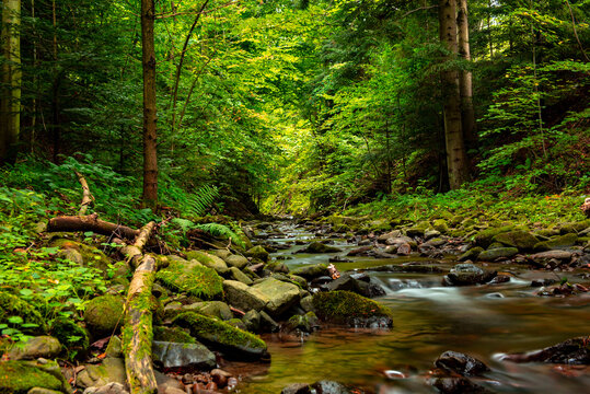 rocky river in the mountains