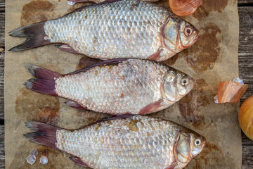 fresh fish 