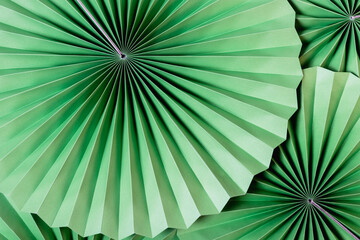 Textured background of green paper fans