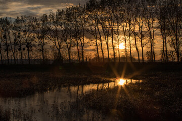 coucher de soleil sur un mar&eacute;cage, avec des arbres en ombres chinoises et un magnifique reflet dans l'eau
