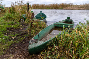 Jesień w Narwiańskim Parku Narodowym, Podlasie, Polska © podlaski49