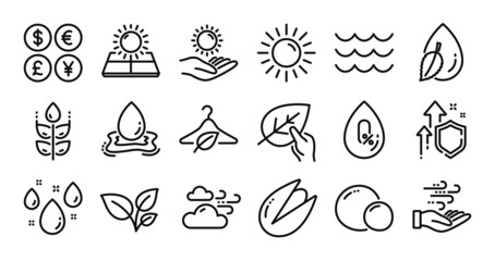 Pistachio nut, Sun energy and Leaves line icons set. Secure shield and Money currency exchange. Rainy weather, Sun protection and Water splash icons. Vector