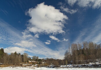 Forest and sky on a snowy winter day, Latvia.