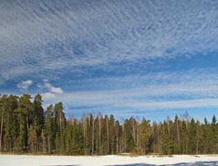 Fototapeta premium Lake, forest and sky on a snowy winter day. Tigava, Latvia.