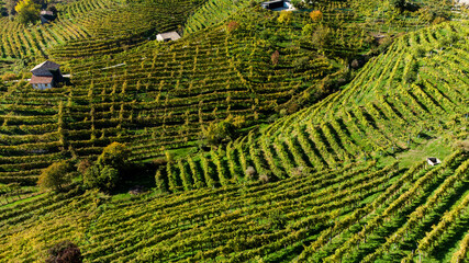 aerial vier of Valdobbiadene hill and prosecco vineyard
