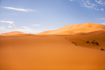 Naklejka na ściany i meble Dry landscape and dunes in the Sahara desert, Morocco